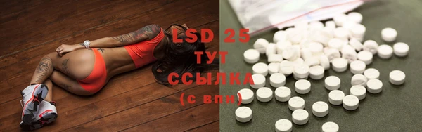 прущие крисы Аркадак