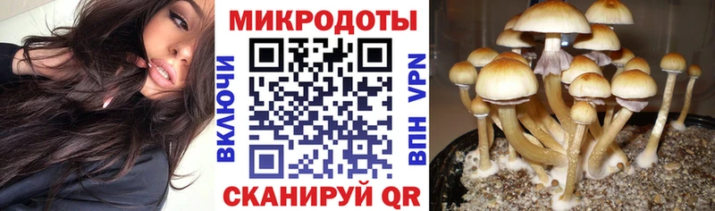 Псилоцибиновые грибы ЛСД  Фокино 