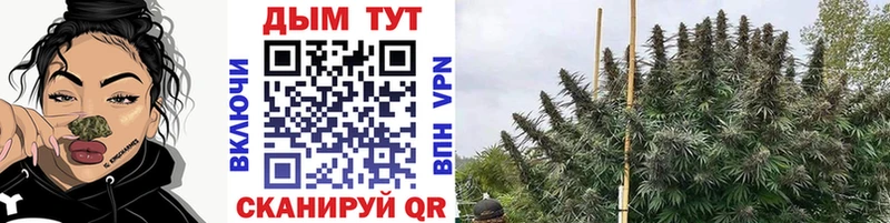omg маркетплейс купить наркотик Фокино Бошки Шишки LSD WEED